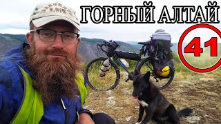 Велопутешествие с собакой по Алтаю. Перевал Кату Ярык на велосипеде. Чулышманская долина. Балыктуюль