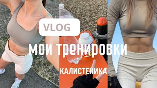 : VLOG |   |    