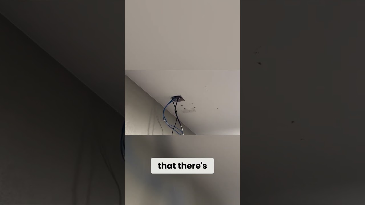 Projector vs. TV: My 2024 Home Theater Upgrade