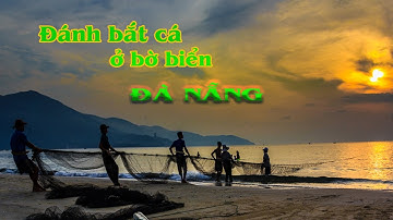 ĐÁNH CÁ ĐÀ NẴNG, kéo lưới. BẮT CÁ BIỂN