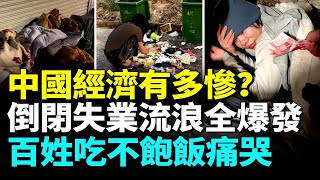 中國經濟爛透老百姓末日來臨；失業人悲聲痛哭；農民工已開始大規模返鄉返貧 #睇大陸