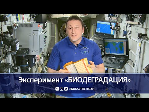 Сергей Кудь-Сверчков: проведение эксперимента «Биодеградация» на МКС