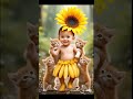Adorable cute cats &amp; baby|#shorts #catshorts #entertaininganimals