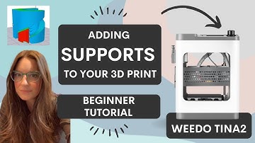 Beginners Guide to Supports in Wiibuilder for Weedo Tina2 |
