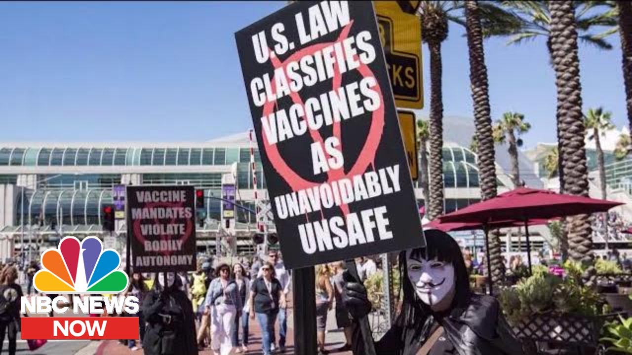 Anti-Vaccine Movement Takes Online Harassment Into The Real World | NBC News Now