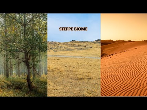 The Steppe Biome - Geography Series