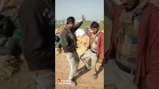 VID 20190111 WA0000