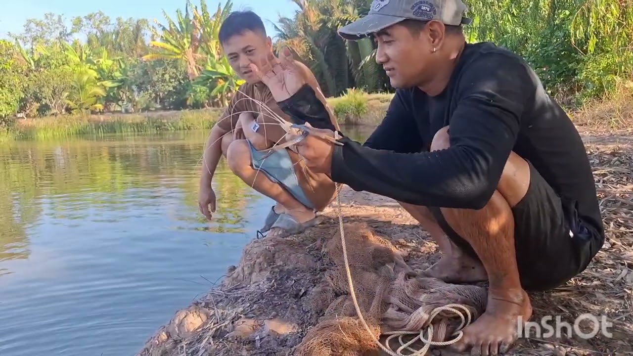 về miền tây trài tôm càng xanh