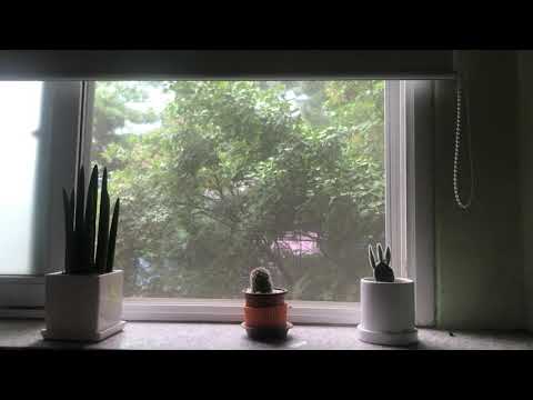 학교 1분 ASMR(학교가 그리운 어른들을 위한)