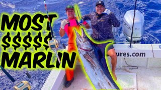 MOST EXPENSIVE BLUE MARLIN AUCTIONED IN HAWAII! Live Bait Fishing Mahi!