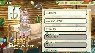 Kemono friends 3: Jungle cat introduction