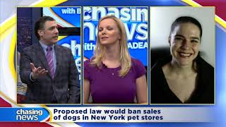 Proposed law would ban sales of dogs in New York pet stores