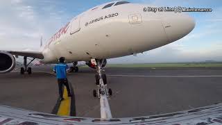 a day at Line Maintenance || Pushback Dorong mundur Airbus Full