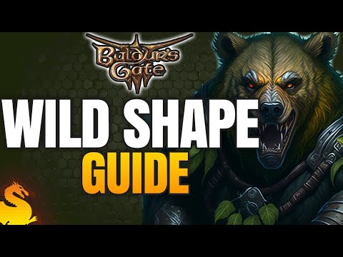 WILD SHAPE Basic & Advanced Guide - BALDUR'S GATE 3