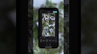 Коллаж за 1 минуту в приложении CapCut screenshot 3