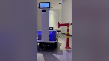 Powerhouse Delivery: 300kg Factory Robot in Action