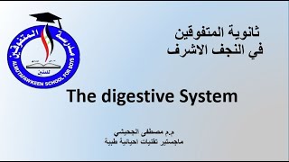 Lec4. Digestive system