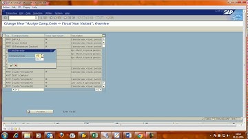 Assign Fiscal Year Variant to Company Code in SAP FI module.