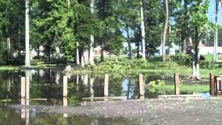 Video 31