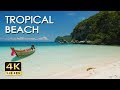 4k tropical beach  relaxing sea ocean wave sounds  ultra nature  meditate yoga sleep