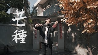 趙方婧《芒種》小提琴版本| Violin【Cover by AnViolin】 