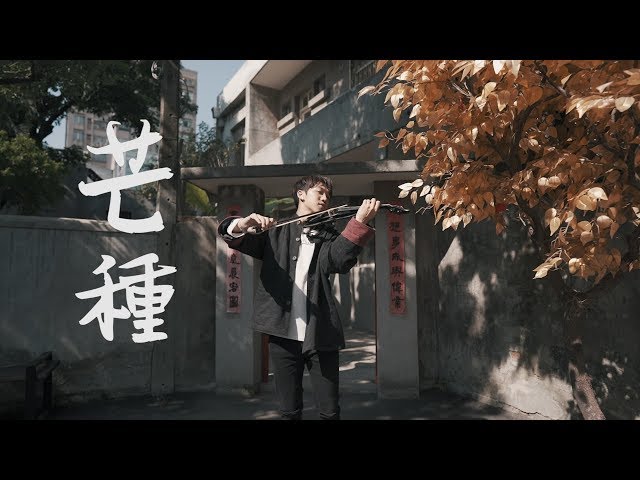 趙方婧《芒種》小提琴版本 | Violin【Cover by AnViolin】 class=