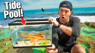 Making a TIDE POOL AQUARIUM! What's Inside?!