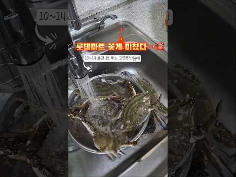 <strong>롯데마트</strong> 꽃게 미쳤다…🦀 2만원대 한 박스 열어봤더니