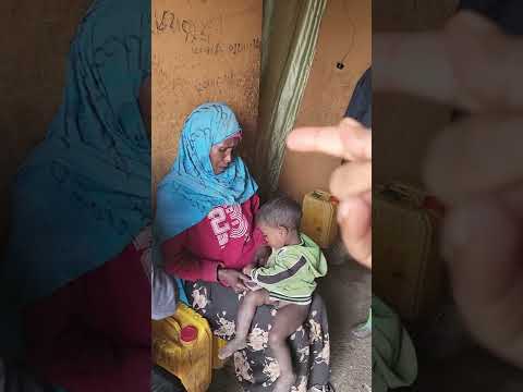 Dhalattuu Godina Hararagee Baha Jijigaarraa Buqa An