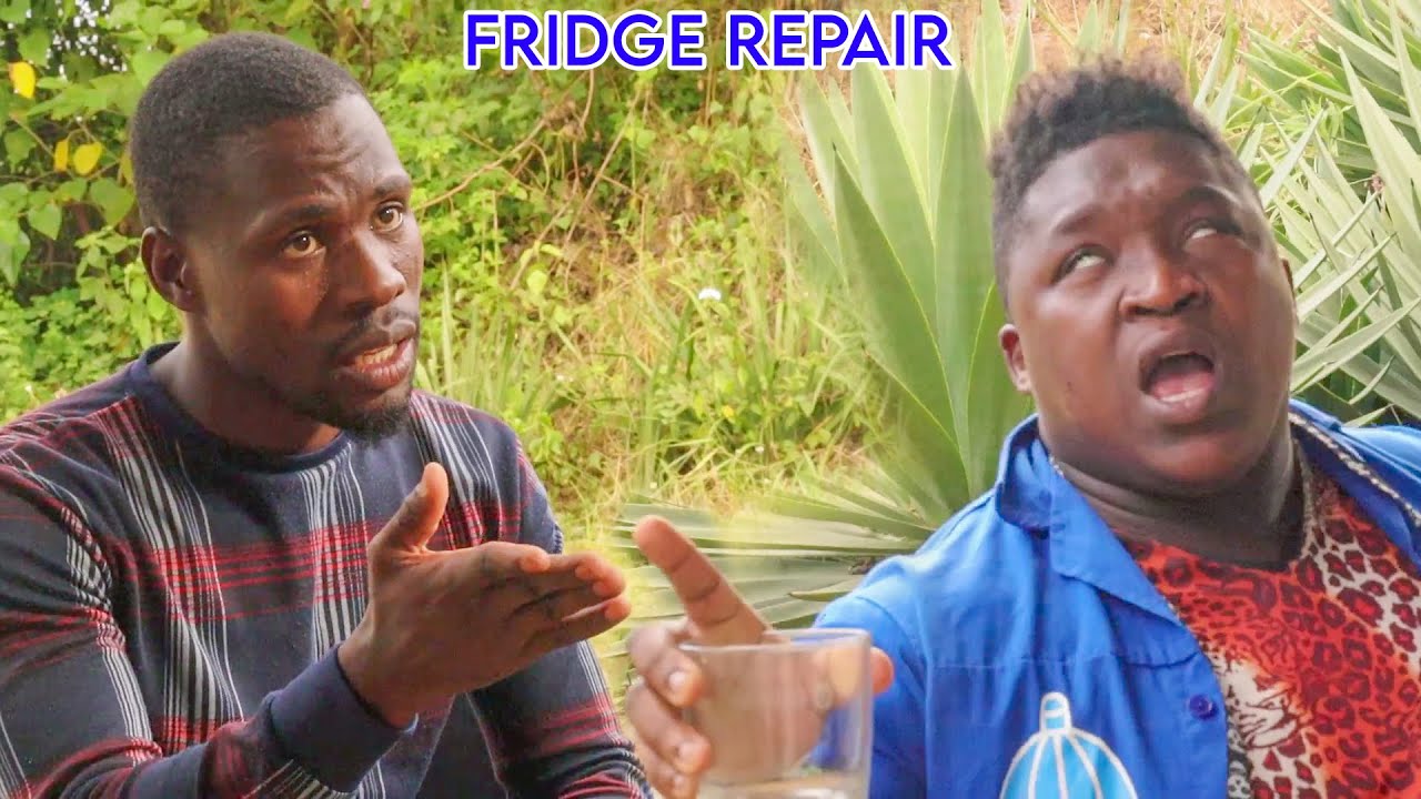 Fridge Repair