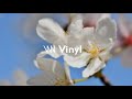 泡沫の春 - melt into the cream (curated by Vinyl)