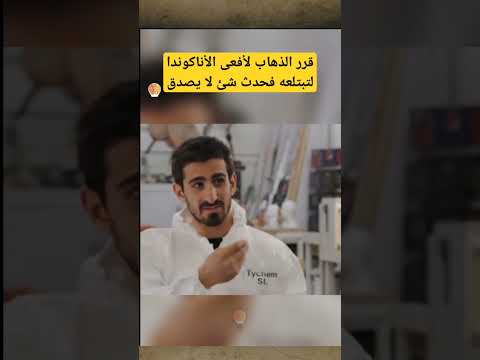 قرر الذهاب لأفعى الأناكوندا لتبتلعه فحدث شئ مدهش للغاية 