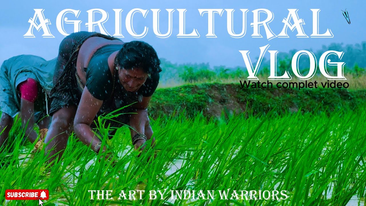 Agriculture Vlogs // How to do Agriculture / Farming in India / Odia vlogs / Village life🤘🎉"
