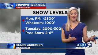 Claire Anderson KIRO Weather Brassiere Bustin' Tight Blue Dress November 09, 2020