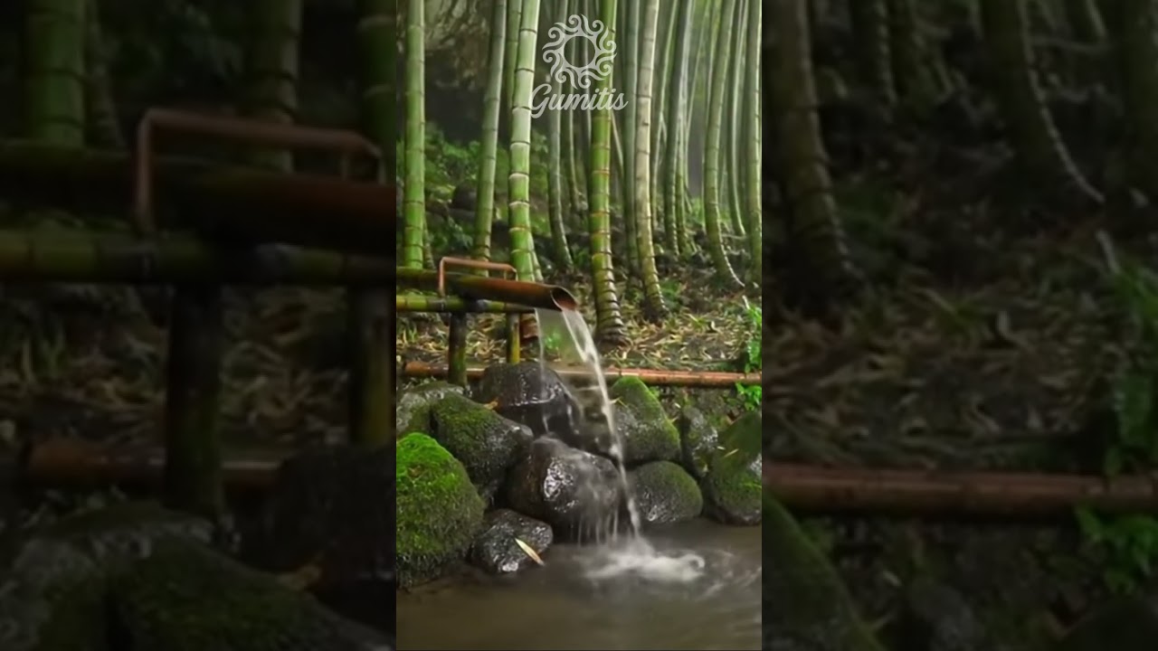 Sacred Water Blessing in the Heart of Bali 