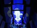 一生に一度を、何度も。大阪・関西万博、夜もおすすめ！