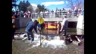 2015 Corn Ducky Derby - The Start