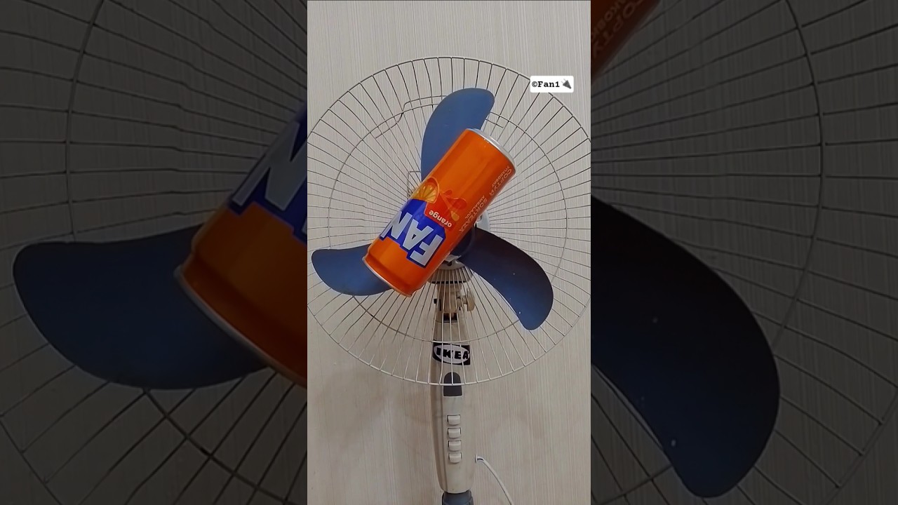 When Fans Gone Wild 🌀😆 