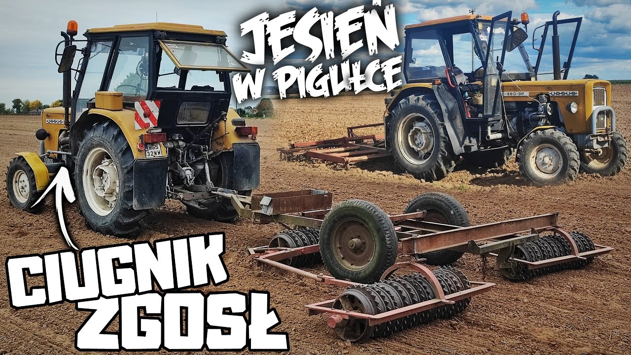 CIUNGNIK ZGOSŁ.. 🤬JESIEŃ W PIGUŁCE  [GR SOLEC] ✅ 