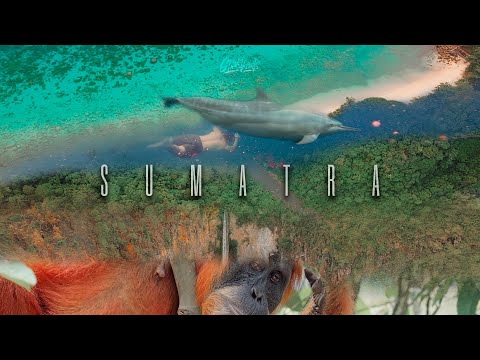 Parah artis Minang ketemuan serunya Ratu Sikumbang Ovhi Firsty Rayola Kintani #minangsahati