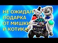 Котик и Мишка подарили что не ожидал!