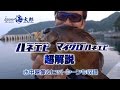 村上晴彦が海太郎-ハネエビ攻めを実釣解説-水中映像＆ヒットシーン多数アリ