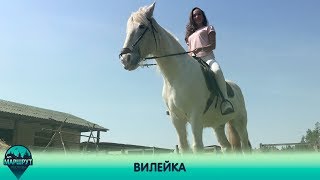 видео: Вилейка. Маршрут построен 18.05.2019 картинка: Вилейка. Маршрут построен 18.05.2019