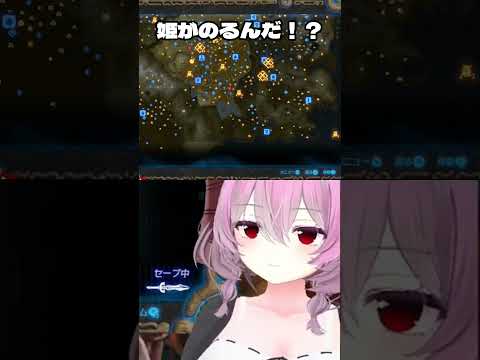 姫が乗るんだ？　#切り抜き　#ゼルダ無双　#厄災の黙示録