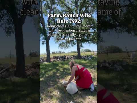 It never ends up being a good idea 😂 #funny #ranchlife #farmlife #farming #ranching #sheep #lamb