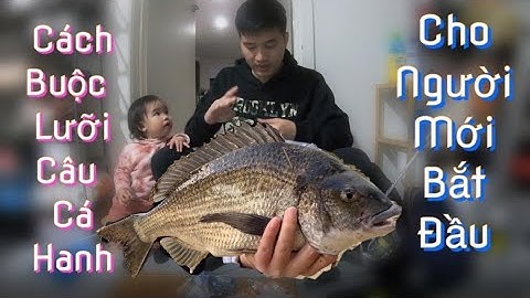 Cách buộc lưỡi câu cá hanh, cá tráp cho người mới bắt đầu. Độ nhạy 100%