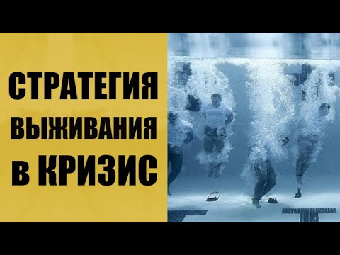 Стратегия выживания в период кризиса