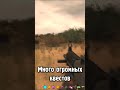 Самый Длинный Мод на STALKER