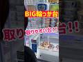 【BIG輪っか台】これが一番取りやすくて狙い目！！！