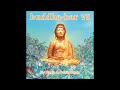 Buddha Bar VΙI (2005) - ChilloutSounds.blogspot.com